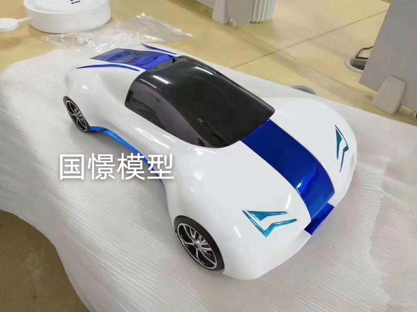 沙洋县车辆模型