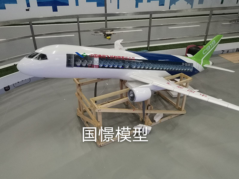 沙洋县飞机模型
